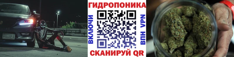 Псилоцибиновые грибы Гагарин