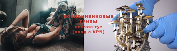 mix Бородино