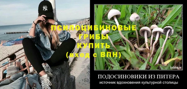 mix Бородино