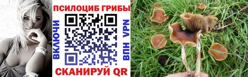 Псилоцибиновые грибы мицелий  Купить где  Гагарин 